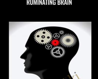 Ruminating Brain » BoxSkill Site