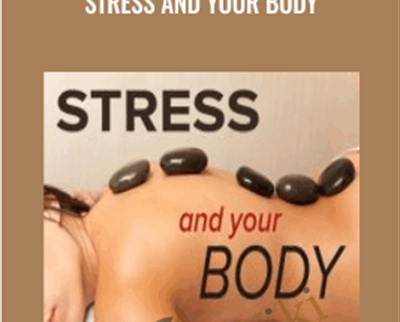 Stress and Your Body » BoxSkill Site